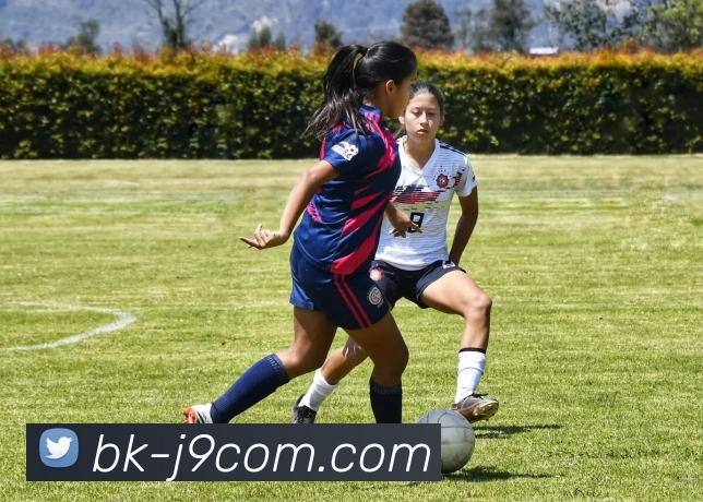 九游会官网平台生态图